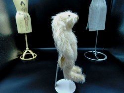WHITE MOHAIR VCR BEAR SIDE
